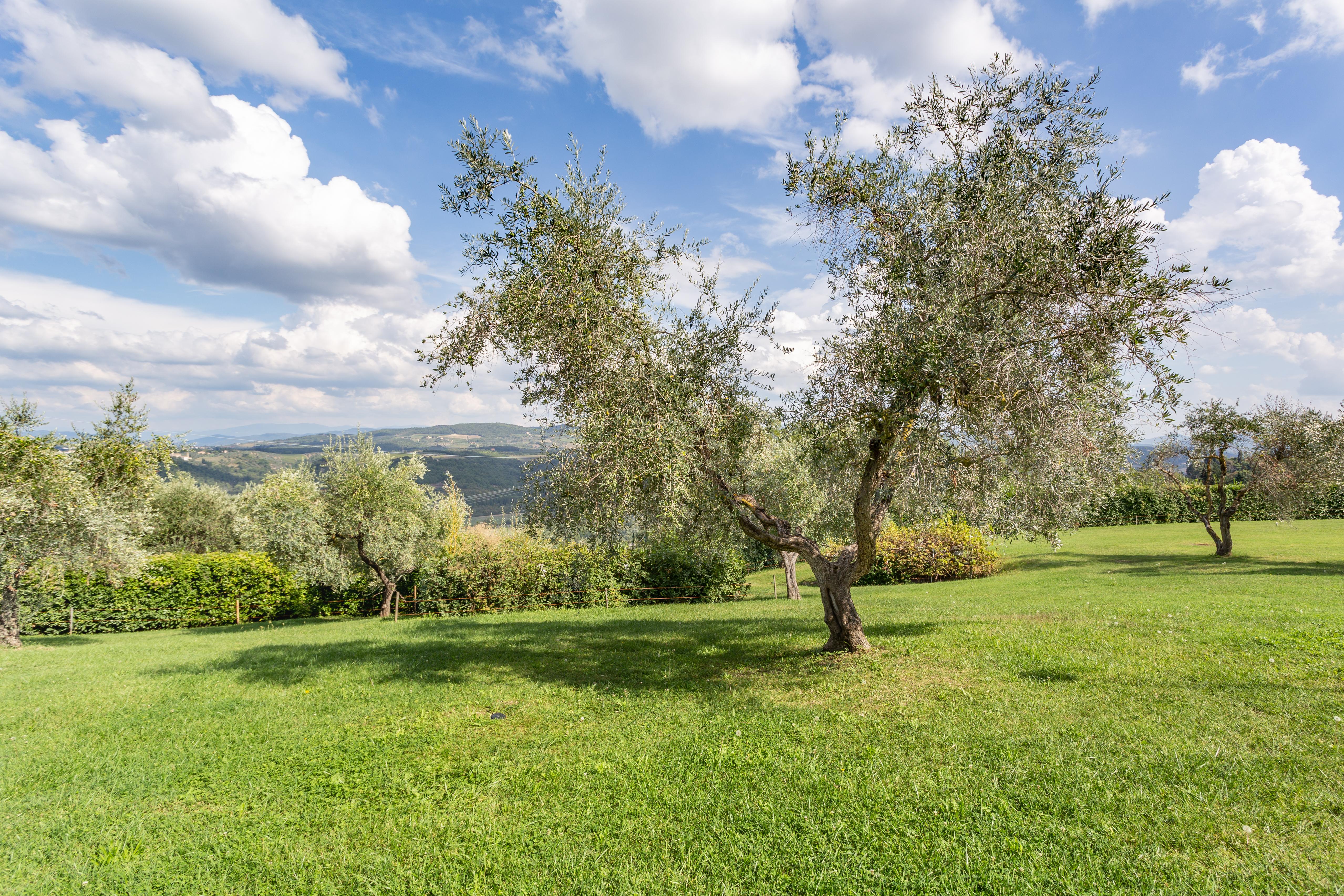 Penzion Fattoria Querceto Tavarnelle Val di Pesa Exteriér fotografie